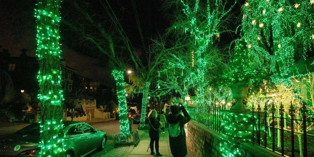 New York City Dyker Heights Christmas Lights Tour - Image 3
