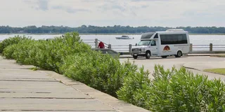 Charleston City Bus Tour