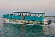 Fort Walton Beach Snorkel and Dolphin Adventure thumbnail 4