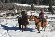 Reno Horseback Riding Adventure thumbnail 6