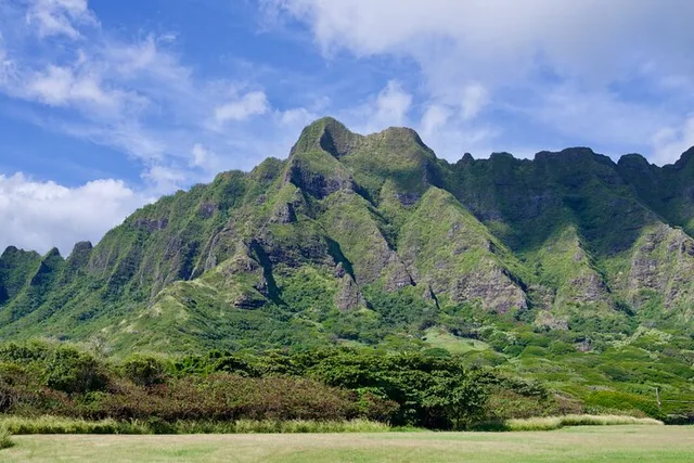 Oahu North Shore Tour with Waimea Waterfall - Image 6