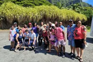 Waikiki Botanical Garden and Waterfall Tour thumbnail 6