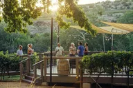 Sedona Wine Tour by Limo Bus with Charcuterie thumbnail 1
