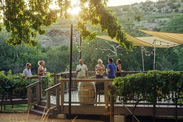 Sedona Wine Tour by Limo Bus with Charcuterie - Image 1
