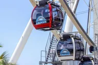 Miami Attractions Pass with eSIM & Airport Transfer thumbnail 4