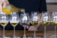 Temecula Wine Tour with Tastings and Lunch thumbnail 5