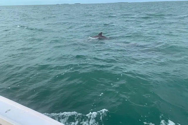 Key West Custom Charter with Local Captain - Image 4
