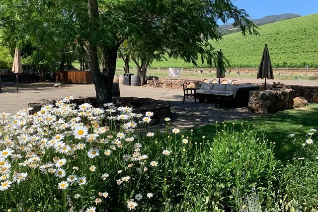 Napa Sonoma Wine Tour 8 hr Private SUV - Image 2
