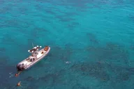 Honolulu Snorkeling and Wildlife Adventure Boat Tour 2 hr thumbnail 6