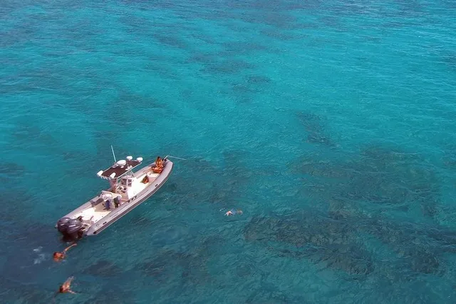 Honolulu Snorkeling and Wildlife Adventure Boat Tour 2 hr - Image 6