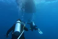 Key West Vandenberg Wreck Dive 4.5 hr thumbnail 3