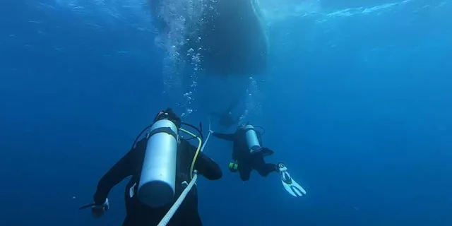 Key West Vandenberg Wreck Dive 4.5 hr - Image 3
