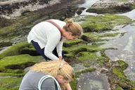 San Diego Tide Pool Tour thumbnail 1