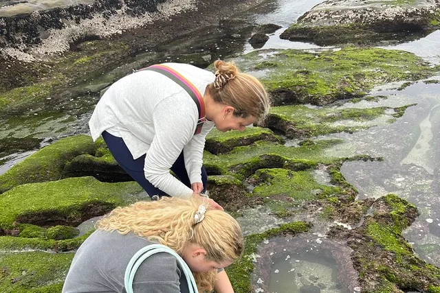 San Diego Tide Pool Tour - Image 1