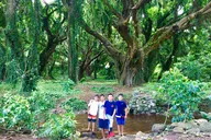 Maui Private Tour thumbnail 5