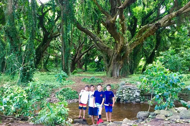Maui Private Tour - Image 5