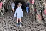 San Francisco Wild Coast Walking Tour thumbnail 3