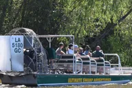 New Orleans Airboat Swamp Tour thumbnail 1