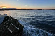 Plymouth Oyster Farm Boat Tour with Tasting thumbnail 3