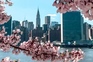 New York City Private Walking Tour thumbnail 6