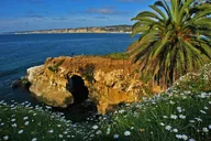San Diego Scenic and Coastal Photo Tour thumbnail 2