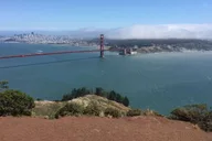 San Francisco Muir Woods and Sausalito Private Tour 4 hr thumbnail 2