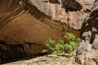 Las Vegas Zion National Park Small Group Tour thumbnail 4