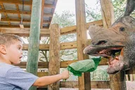 Tampa Zoo Admission Ticket thumbnail 5