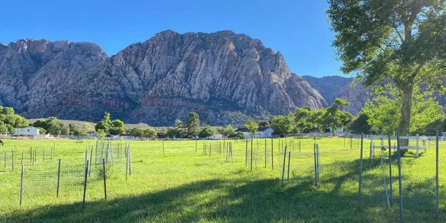 Las Vegas Spring Mountain Ranch Hike and House Visit - Image 4