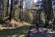 Portland Gravel Bike and E-Bike Tour in Forest Park thumbnail 6