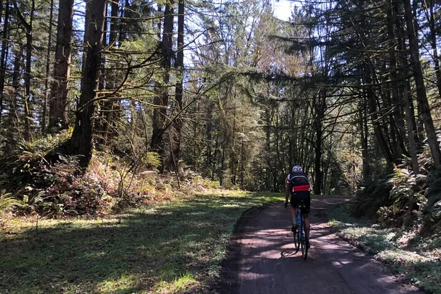 Portland Gravel Bike and E-Bike Tour in Forest Park - Image 6