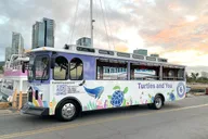 Waikiki Turtle Snorkeling Tour with Trolley Ride 2 hr thumbnail 6