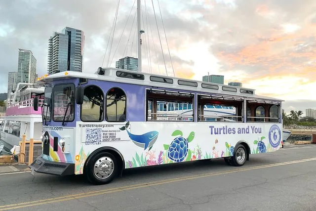 Waikiki Turtle Snorkeling Tour with Trolley Ride 2 hr - Image 6