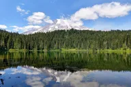 Seattle Mount Rainier National Park Day Tour thumbnail 4
