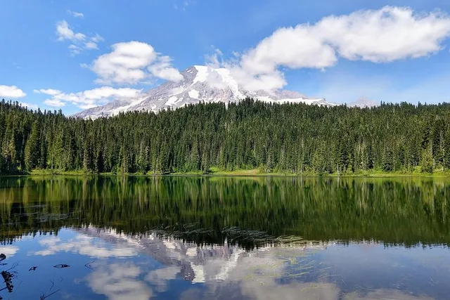Seattle Mount Rainier National Park Day Tour - Image 4