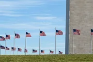 Washington DC Sightseeing Combo Tour thumbnail 1