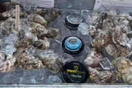 Plymouth Sunset Cruise with Oyster Tasting thumbnail 5