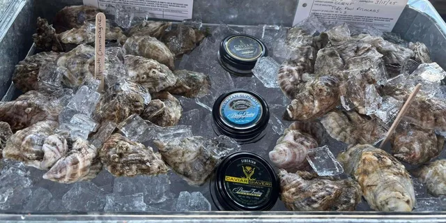 Plymouth Sunset Cruise with Oyster Tasting - Image 5