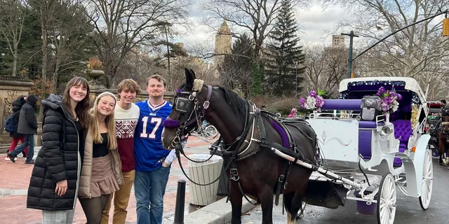 New York City Central Park Horse Carriage Ride - Image 2