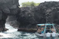 Kailua Kona Snorkeling and Coastline Exploration thumbnail 2