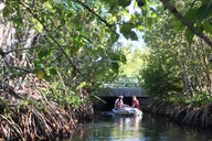 Key West Walking and Glass Bottom Boat Tour thumbnail 2