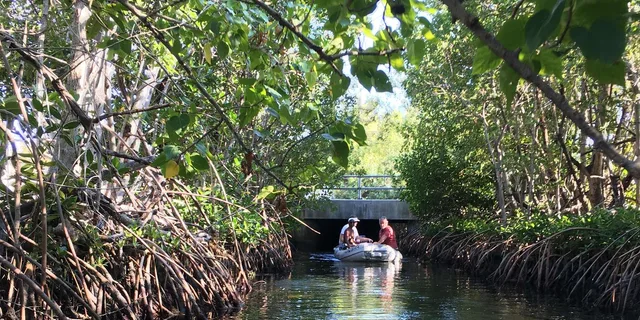 Key West Walking and Glass Bottom Boat Tour - Image 2