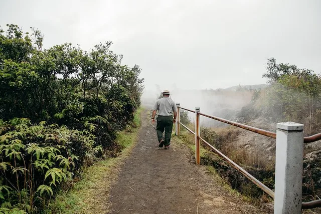 Hilo Helicopter and Volcano Adventure Day Trip - Image 4