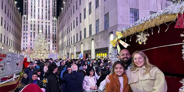 New York City Christmas Lights Horse Carriage Ride - Image 5