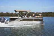 Hilton Head Dolphin Watching Tour 1.5 hr thumbnail 6