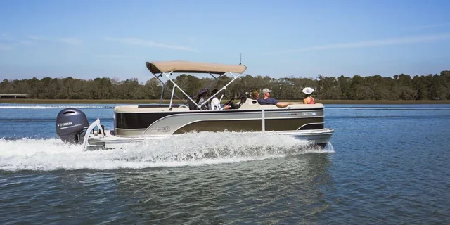 Hilton Head Dolphin Watching Tour 1.5 hr - Image 6