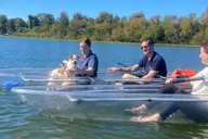 Orlando Paddle with Your Pup Adventure thumbnail 4