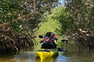 Cocoa Beach Manatee and Dolphin Kayak Tour 2 hr thumbnail 2