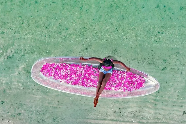 Miami Clear Kayak Photo Shoot - Image 4