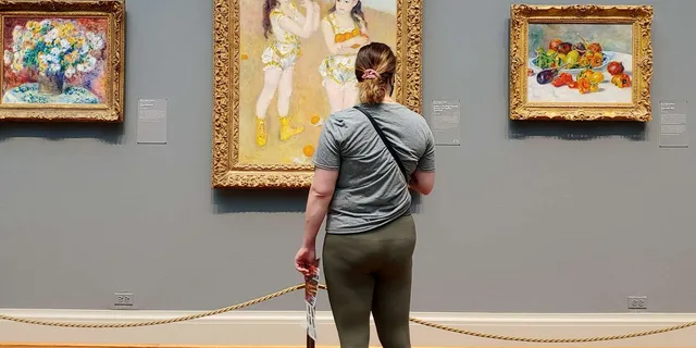 Chicago Art Institute Skip-the-Line Tour - Image 4
